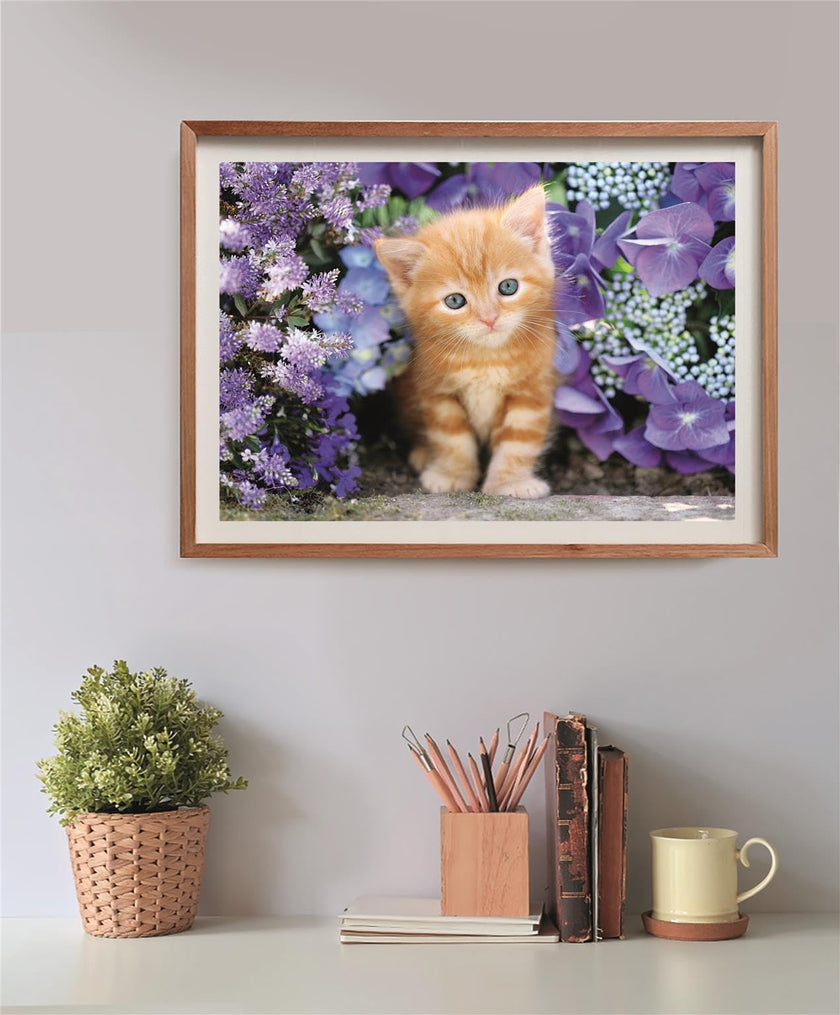 Clementoni - PZ500: GINGER CAT