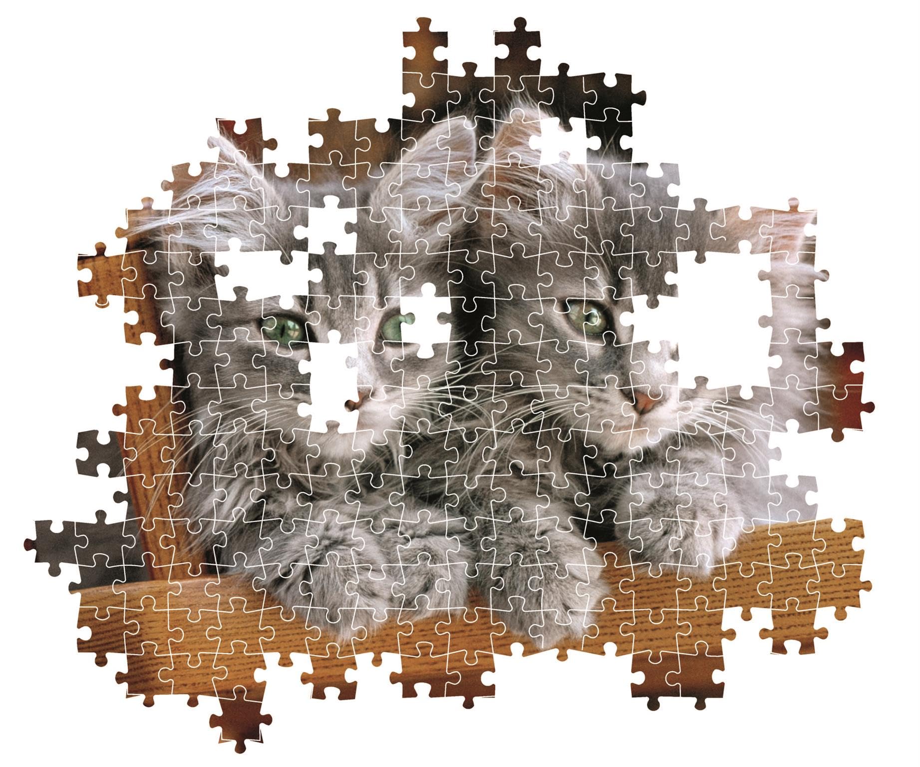 Clementoni - PZ500: KITTENS