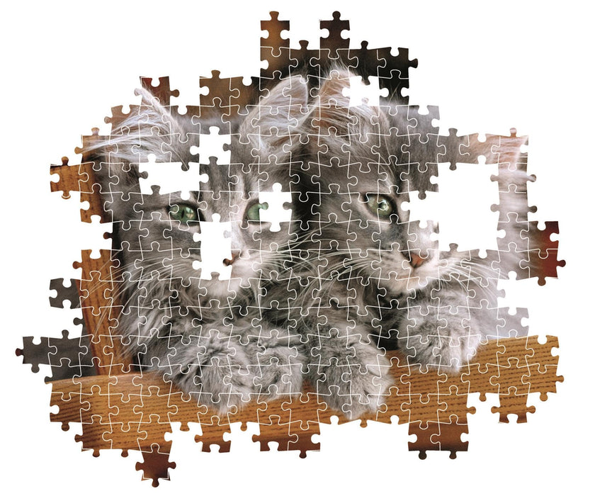Clementoni - PZ500: KITTENS