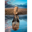 Clementoni - Self Reflection (300-Piece Puzzle)
