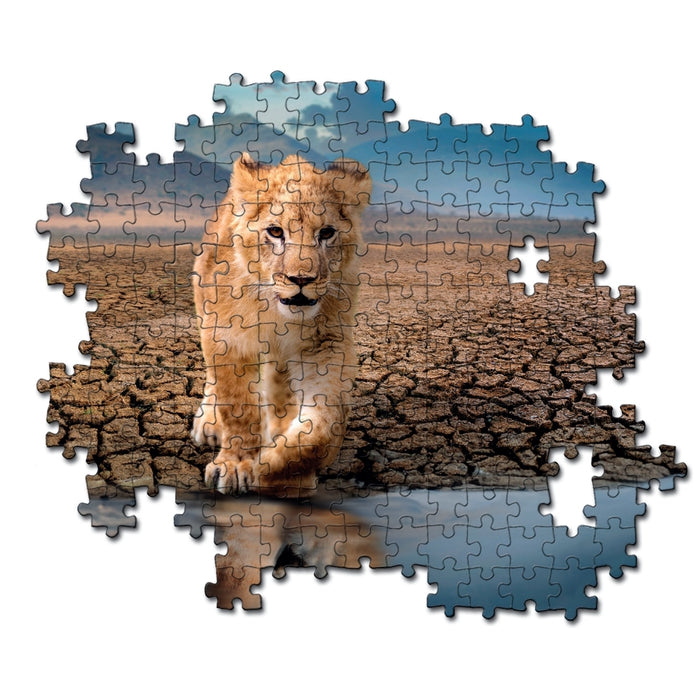 Clementoni - Self Reflection (300-Piece Puzzle)