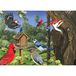 Cobble Hill - Autour de la mangeoire à oiseaux (plateau à puzzle de 35 pièces)