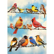 Cobble Hill - Birds On Wire (500-Piece Puzzle)