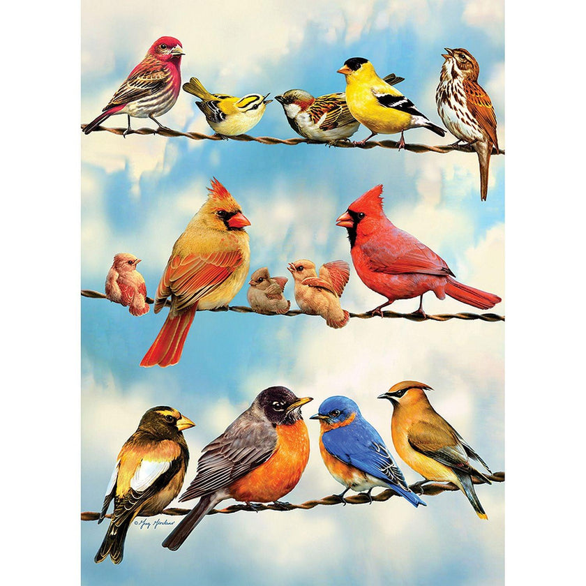 Cobble Hill - Birds On Wire (500-Piece Puzzle)