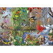 Cobble Hill - Oiseaux de la saison (Jigsaw Puzzle 1000 pièces)