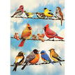 Cobble Hill - Blue Sky Birds (35-Piece Puzzle Tray)