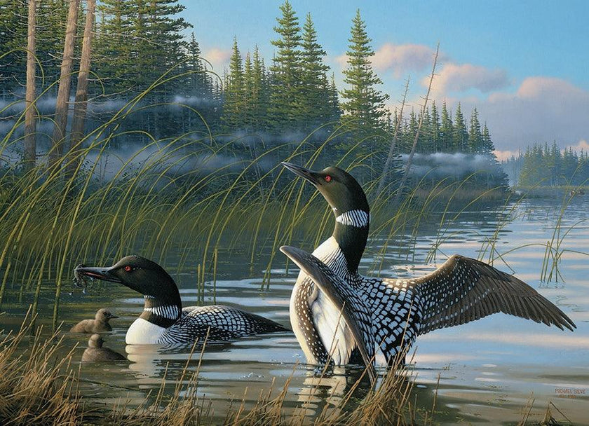 Cobble Hill - Common Loons (1000-Piece Puzzle)