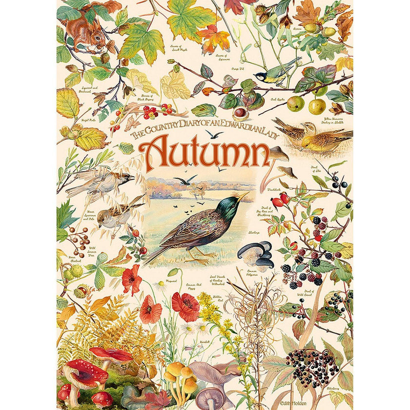 Cobble Hill - Journal de campagne : Automne (Jigsaw Puzzle 1000 pièces)