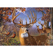 Cobble Hill - Deer And Pheasant (500-Piece Puzzle)