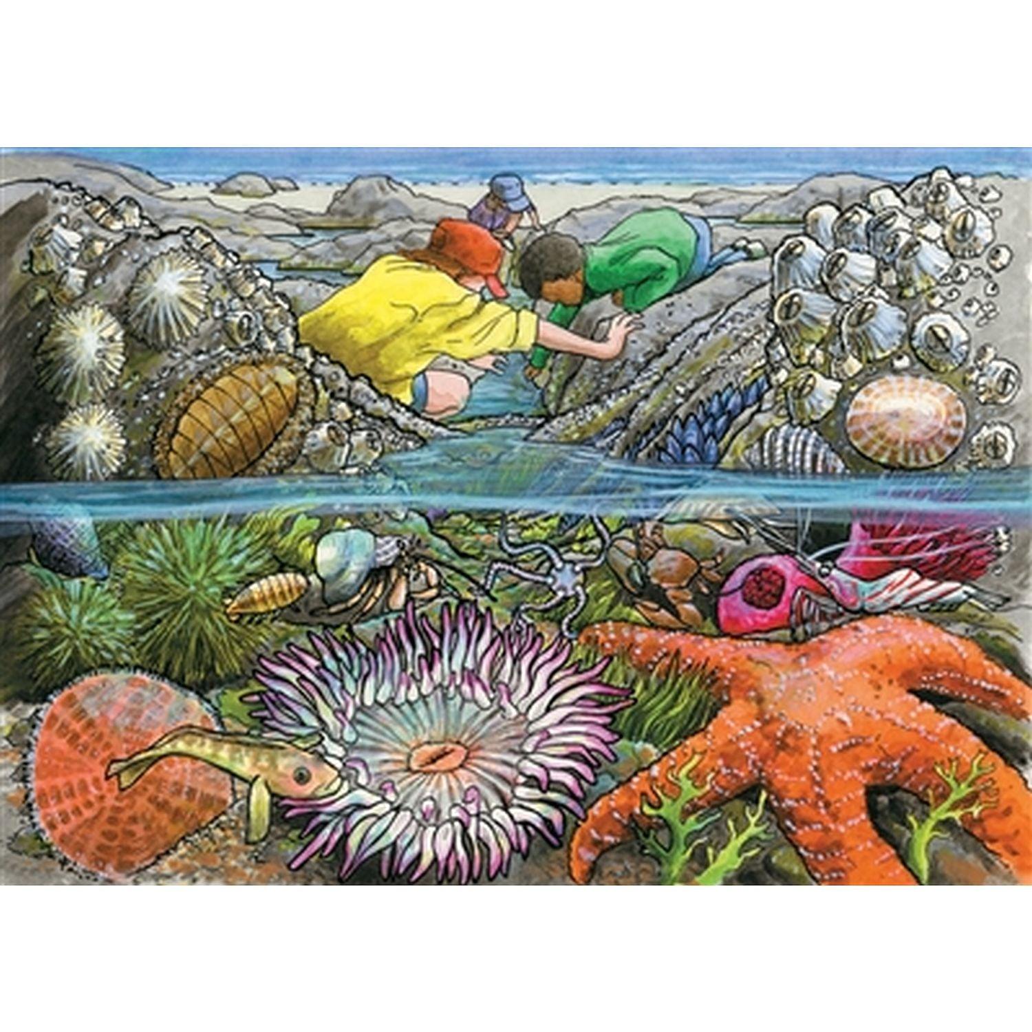 Cobble Hill - Exploring The Seashore (35-Piece Puzzle Tray)