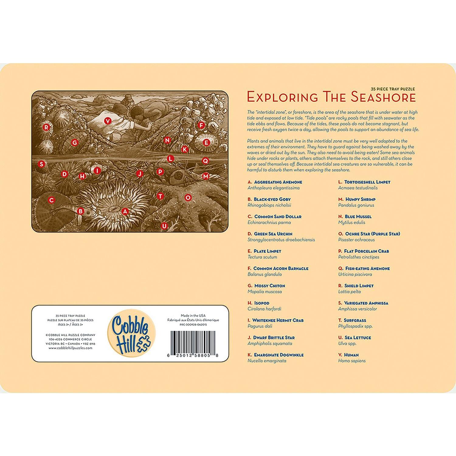 Cobble Hill - Exploring The Seashore (35-Piece Puzzle Tray)