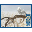 Cobble Hill - Saule au sol - Grand-duc de Sibérie (Jigsaw Puzzle 500 pièces)
