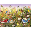 Cobble Hill - Feathered Friends (1000-Piece Puzzle)