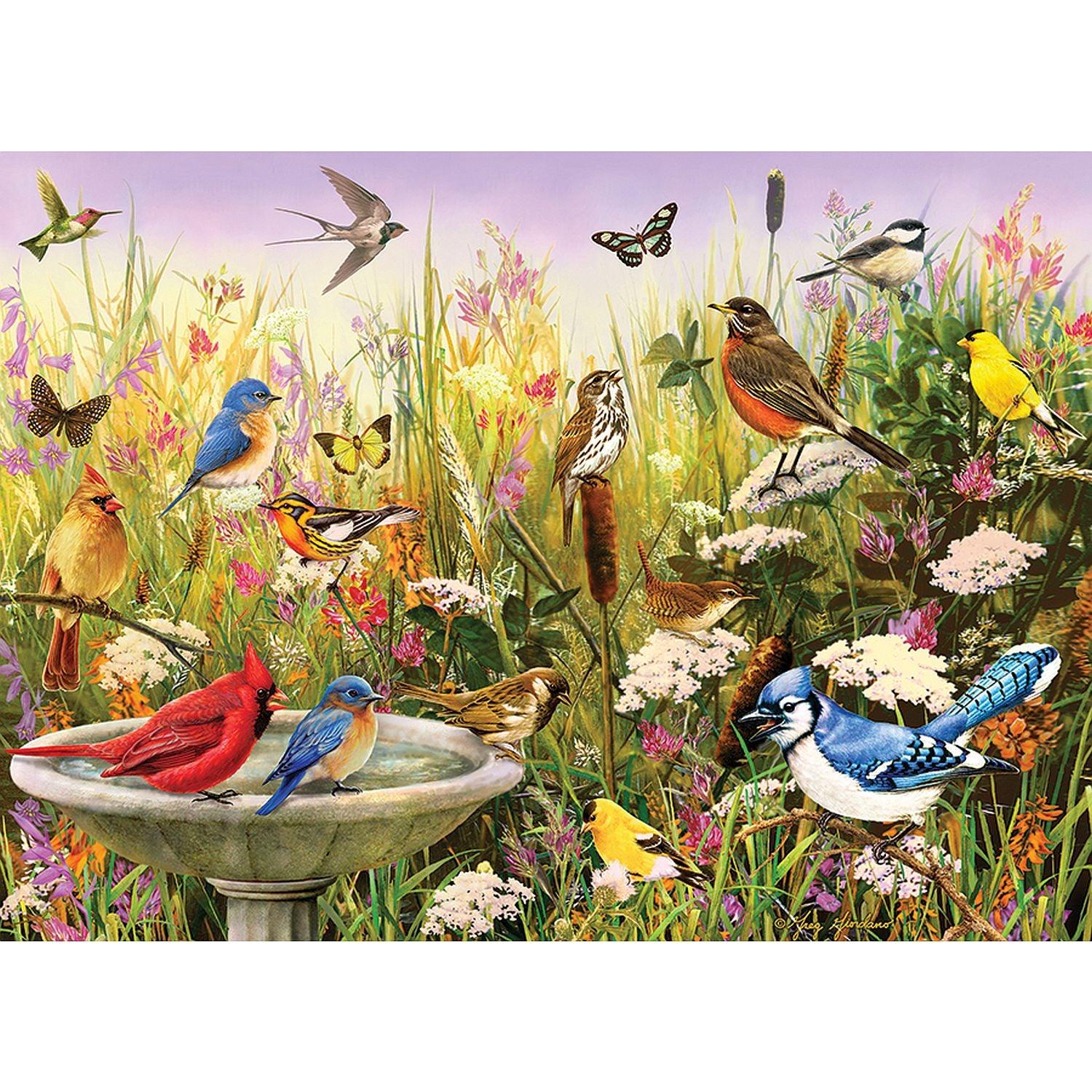 Cobble Hill - Feathered Friends (1000-Piece Puzzle)