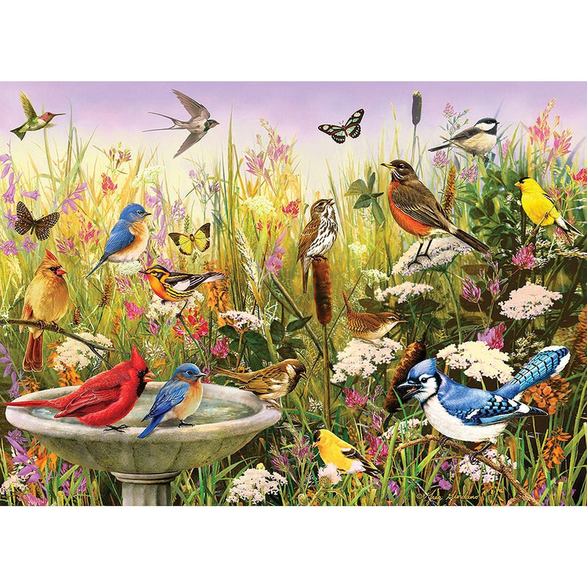 Cobble Hill - Feathered Friends (1000-Piece Puzzle)