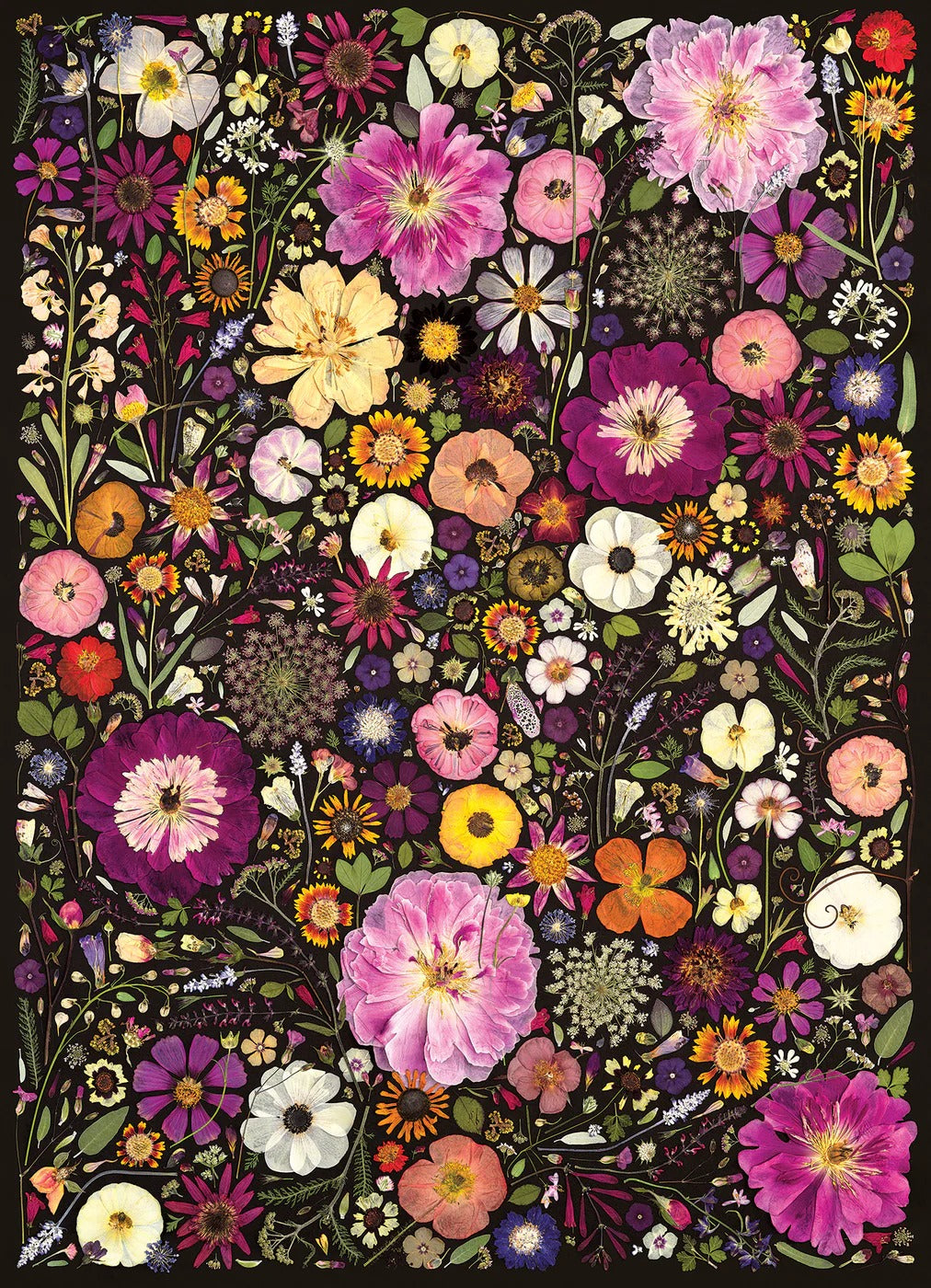 Cobble Hill - Flower Press: Little Hollow & Red Daisy | 500 Piece
