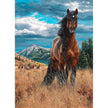 Cobble Hill - Freedom (1000-Piece Puzzle)