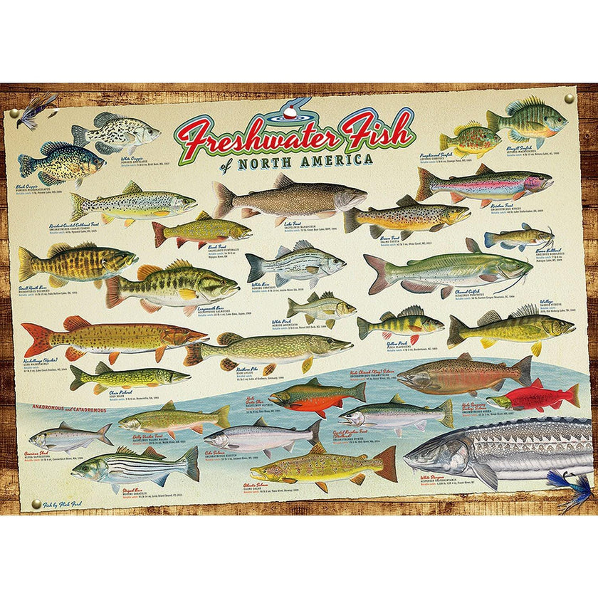 Cobble Hill - Freshwater Fish of North America (1000-Piece Puzzle)