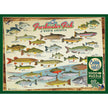 Cobble Hill - Freshwater Fish of North America (1000-Piece Puzzle)