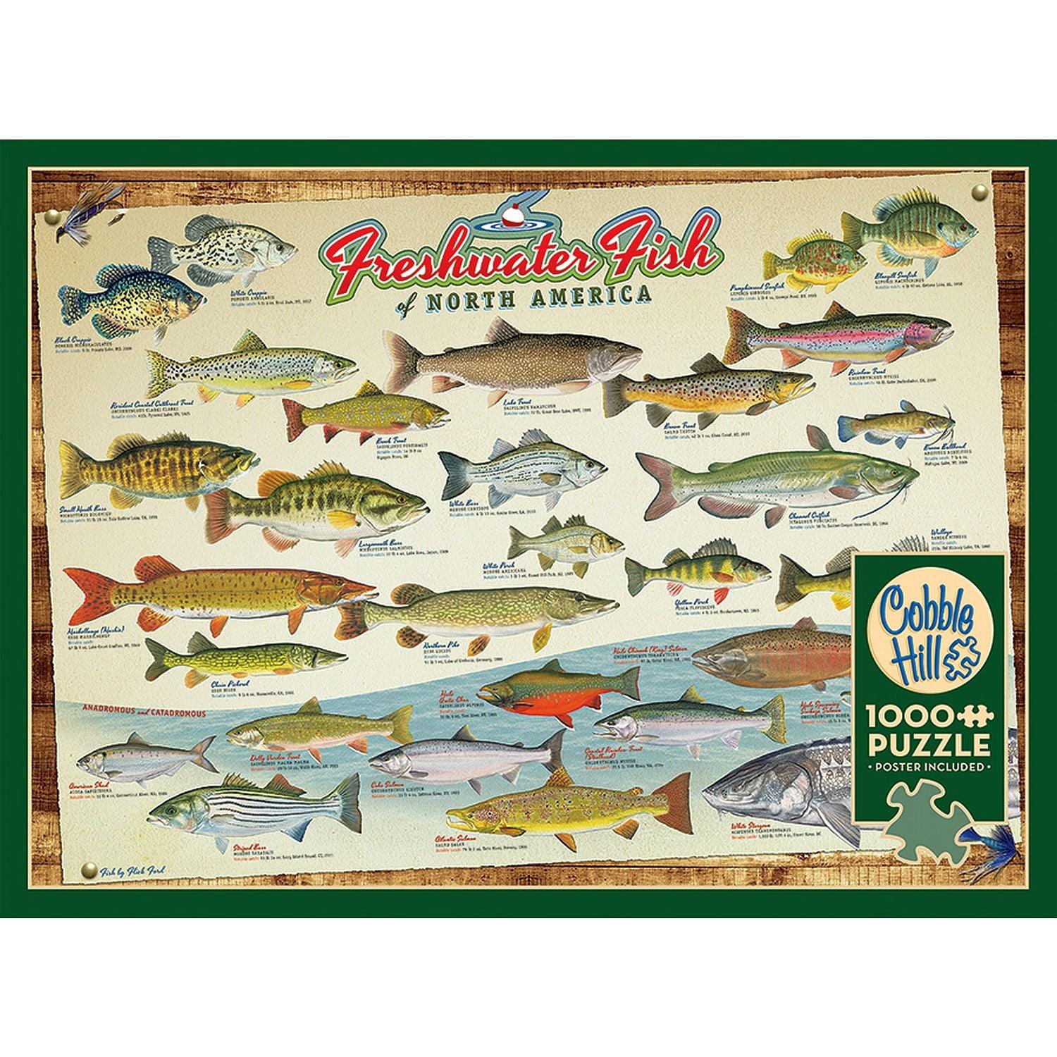 Cobble Hill - Freshwater Fish of North America (1000-Piece Puzzle)