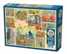Cobble Hill - Oiseaux de jardin en automne