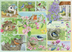 Cobble Hill - Garden Birds in Spring