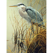 Cobble Hill - Great Blue Heron (500-Piece Puzzle)