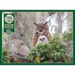 Cobble Hill - Great Horned Owl (1000-Piece Puzzle)