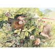 Cobble Hill - Hidden Nest (1000-Piece Puzzle)