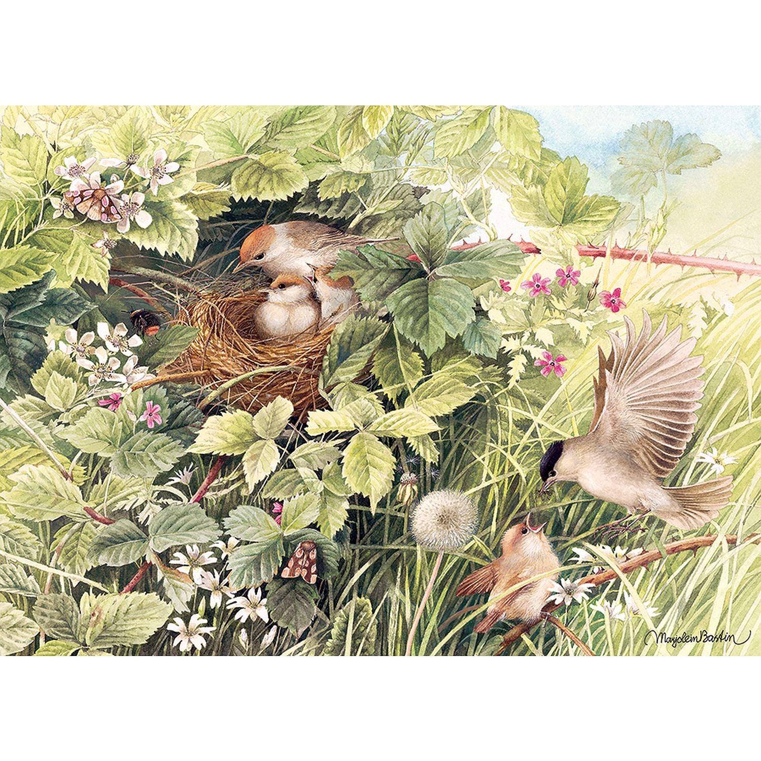 Cobble Hill - Hidden Nest (1000-Piece Puzzle)