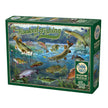 Cobble Hill - Hooked On Fishing (1000-Piece Puzzle)