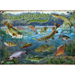 Cobble Hill - Hooked On Fishing (1000-Piece Puzzle)
