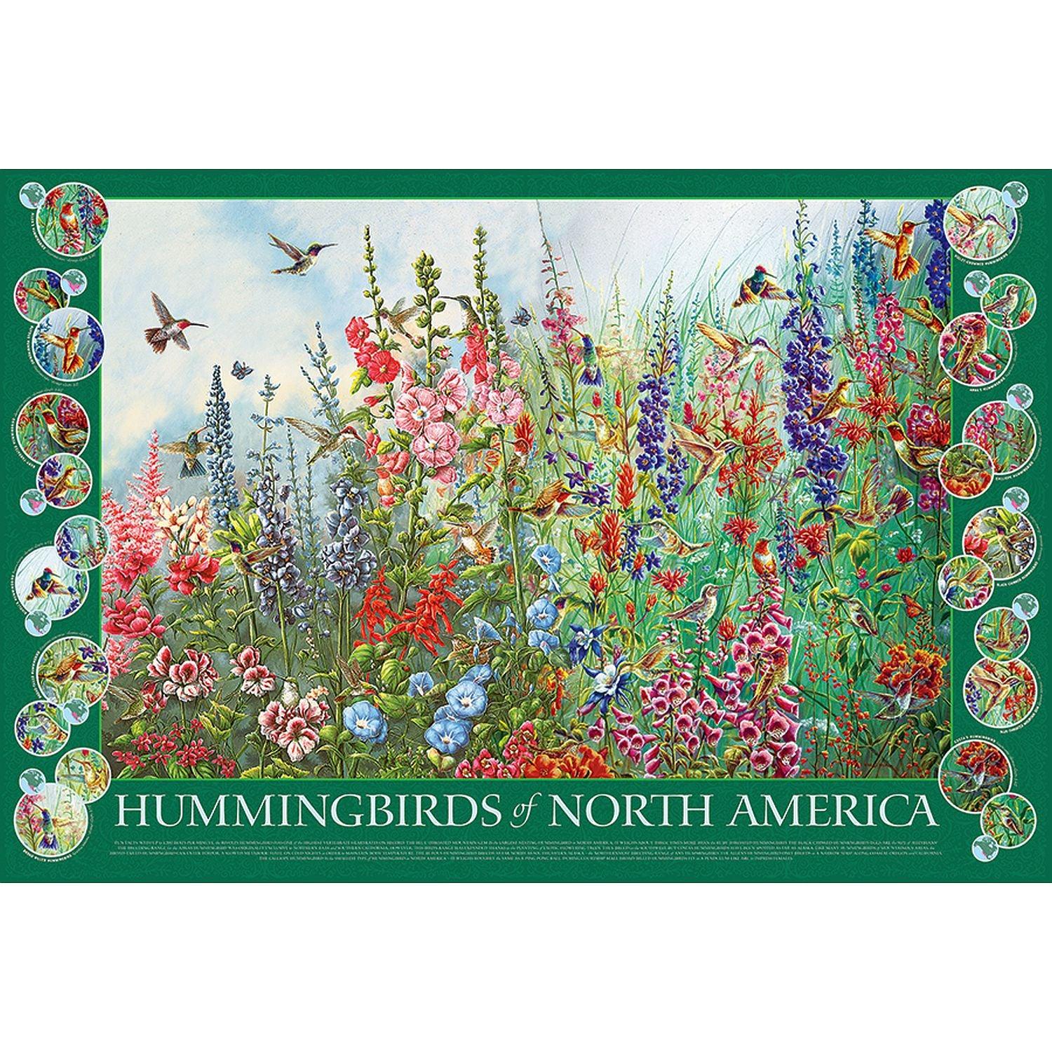 Cobble Hill - Les colibris d'Amérique du Nord (Jigsaw Puzzle 2000 pièces)