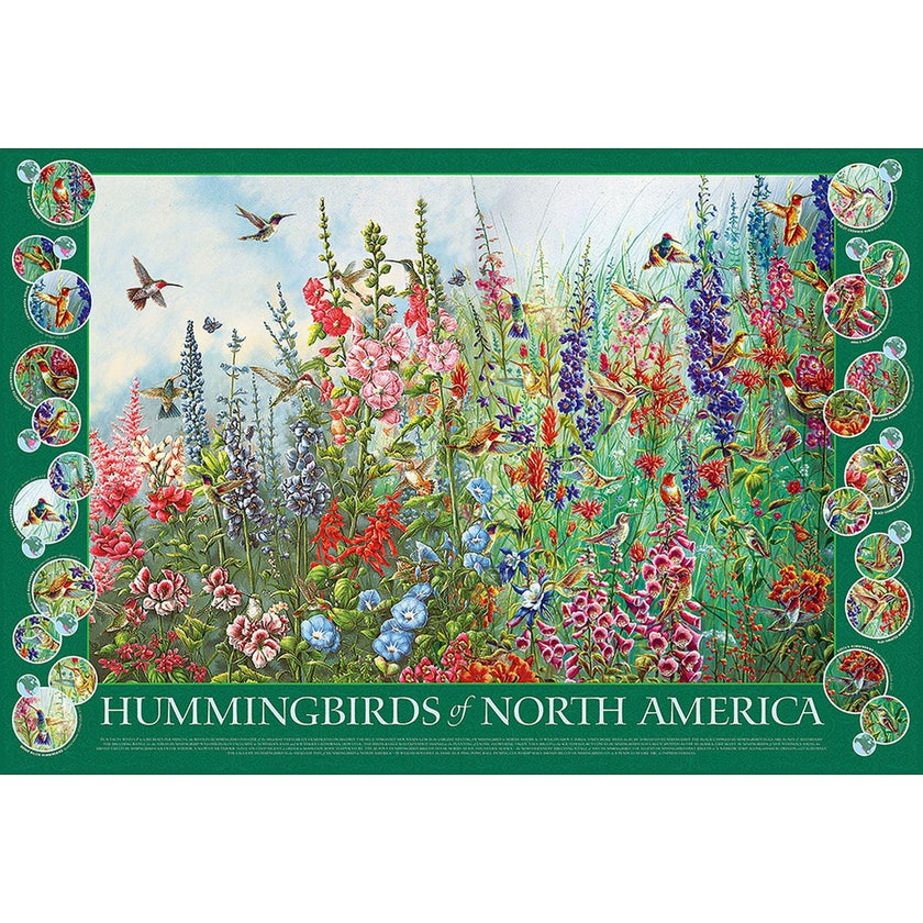 Cobble Hill - Les colibris d'Amérique du Nord (Jigsaw Puzzle 2000 pièces)