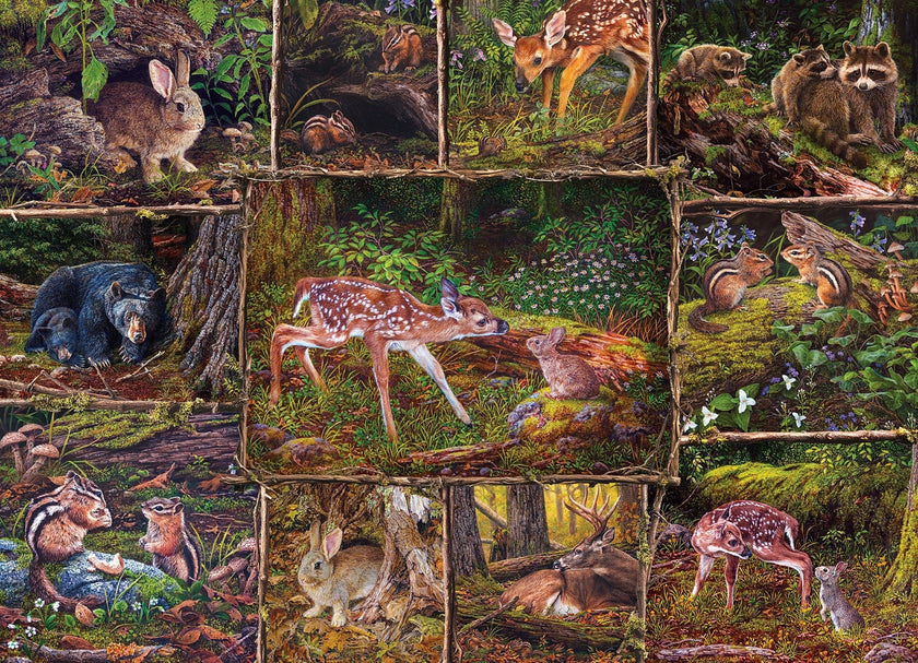 Cobble Hill - Dans les bois | Family Pieces 350