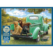 Cobble Hill - Let's Go Fishing (500-Piece Puzzle)