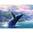 Cobble Hill - Léviathan de la baie de Glacier (Jigsaw Puzzle 1000 pièces)
