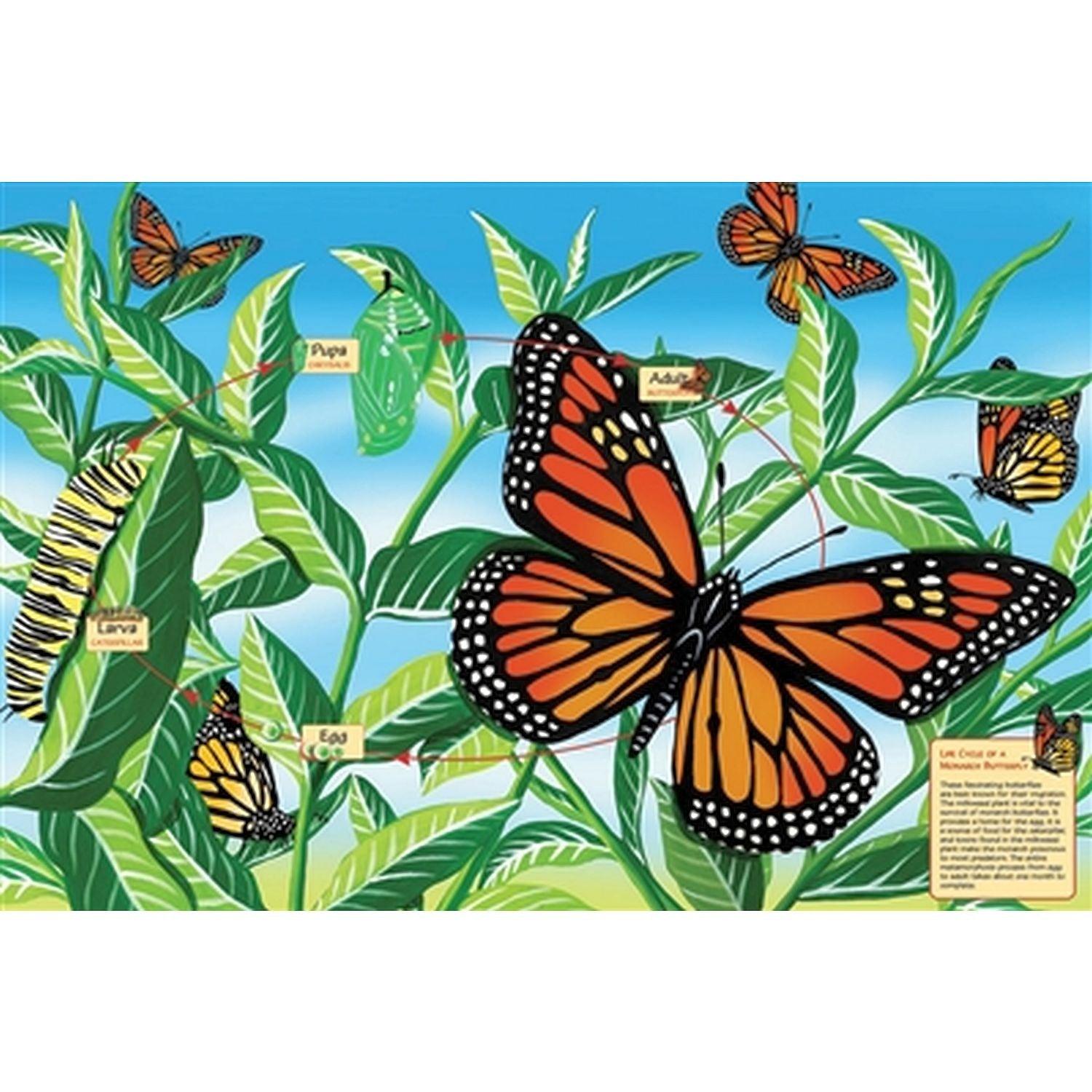 Cobble Hill - Life Cycle of a Monarch Butterfly (Floor 48pc)