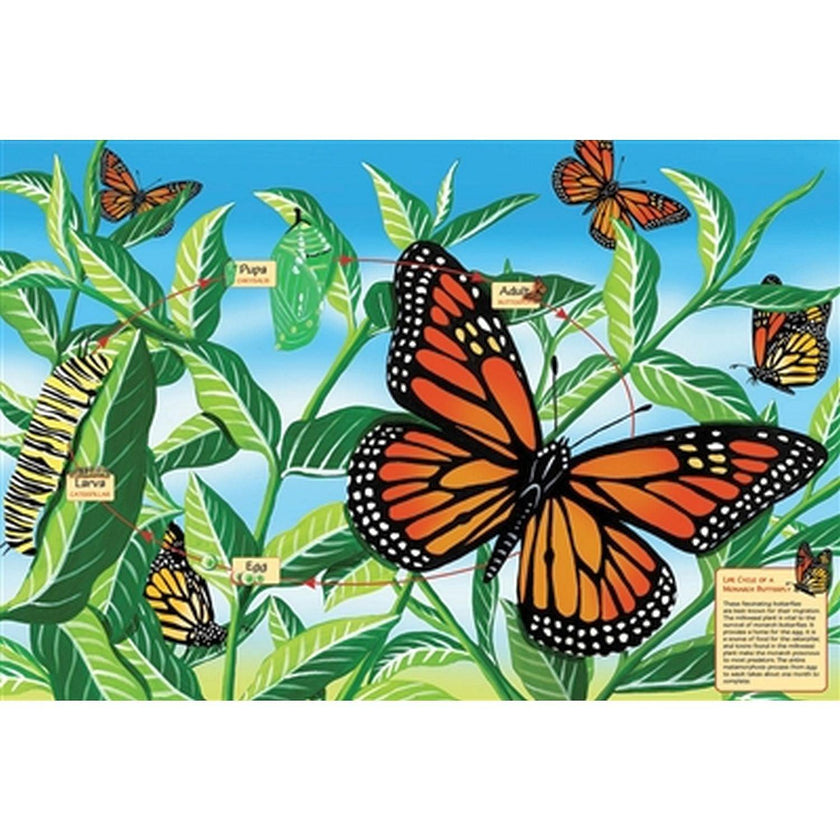 Cobble Hill - Life Cycle of a Monarch Butterfly (Floor 48pc)