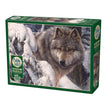 Cobble Hill - Master of The North (1000-Piece Puzzle)