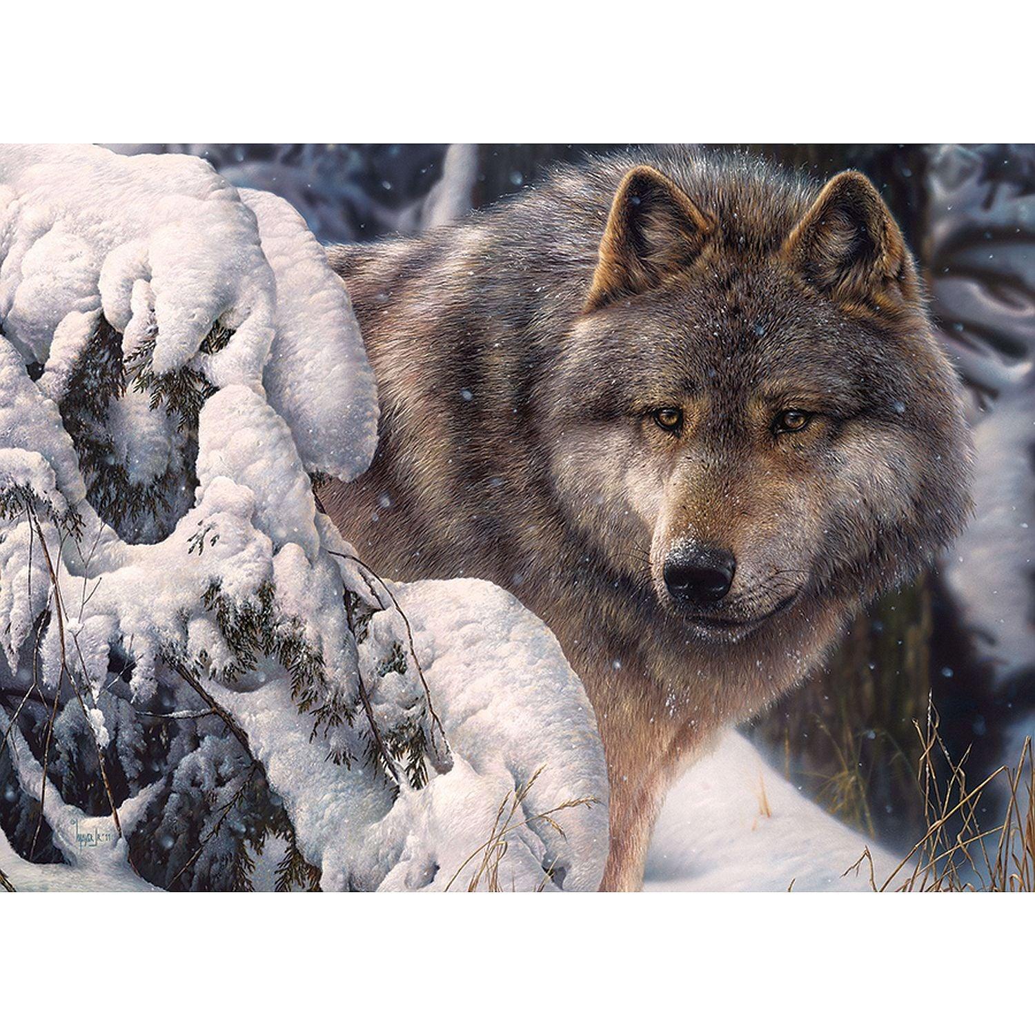 Cobble Hill - Master of The North (1000-Piece Puzzle)