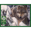 Cobble Hill - Master of The North (1000-Piece Puzzle)