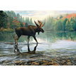 Cobble Hill - Moose Crossing (1000-Piece Puzzle)