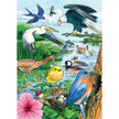 Cobble Hill - North American Birds (35-Piece Puzzle Tray)