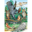 Cobble Hill - North American Owls (35-Piece Puzzle Tray)