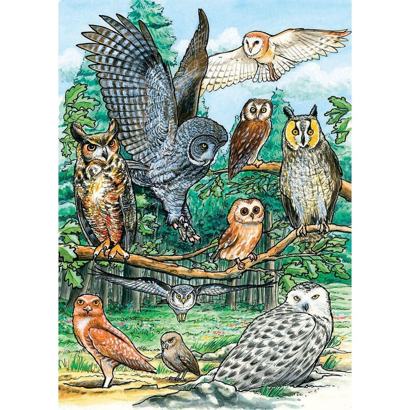Cobble Hill - North American Owls (35-Piece Puzzle Tray)