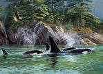 Cobble Hill - Orcas (1000-Piece Puzzle)