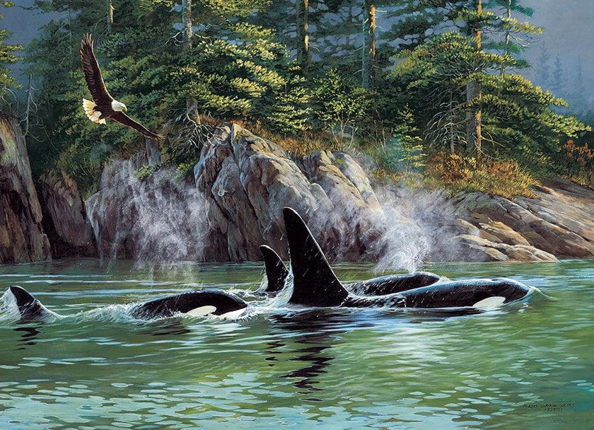 Cobble Hill - Orcas (1000-Piece Puzzle)