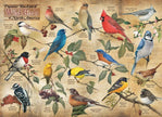 Cobble Hill - Popular Backyard Wild Birds of NA (1000-Piece Puzzle)