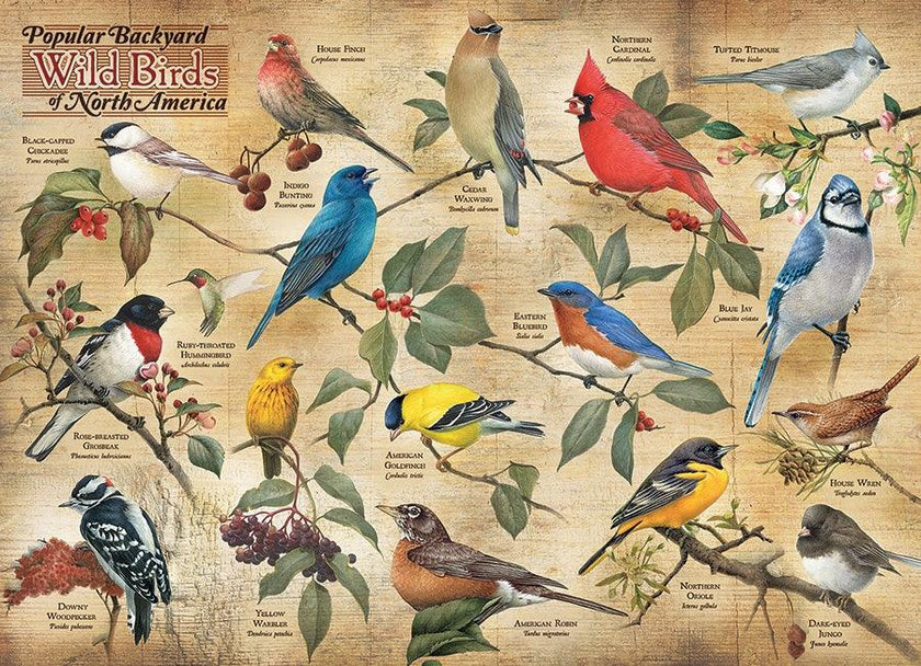 Cobble Hill - Popular Backyard Wild Birds of NA (1000-Piece Puzzle)